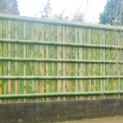 建仁寺垣全体図