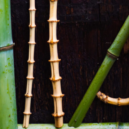 竹の根を使用した創作垣