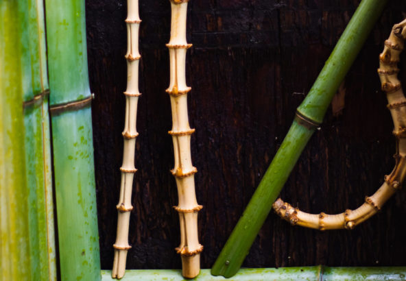 竹の根を使用した創作垣