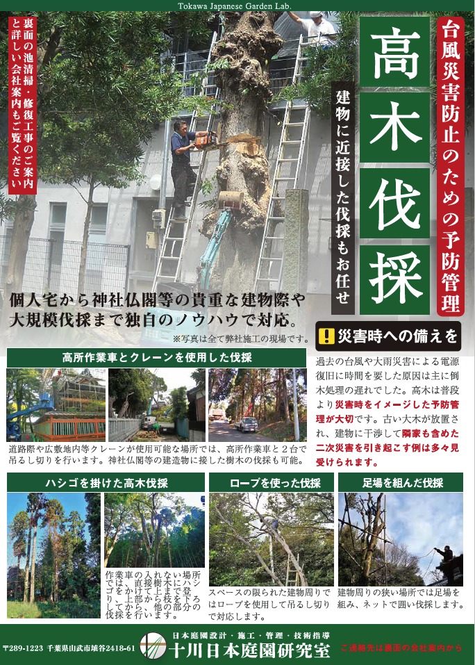 高木伐採のご案内