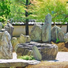 ９月２４日（土）第３回 日本庭園 鑑賞・作庭セミナー