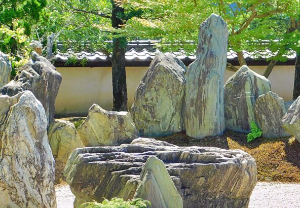 ９月２４日（土）第３回 日本庭園 鑑賞・作庭セミナー